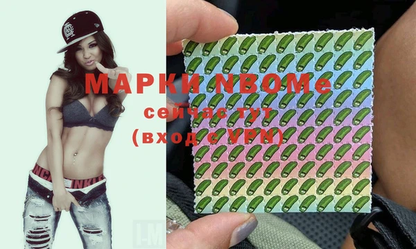 гидра Краснослободск