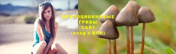 мяу мяу мука Красноперекопск