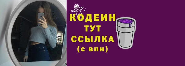 индика Кукмор