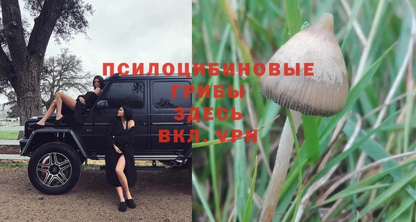 эйфоретик Кулебаки