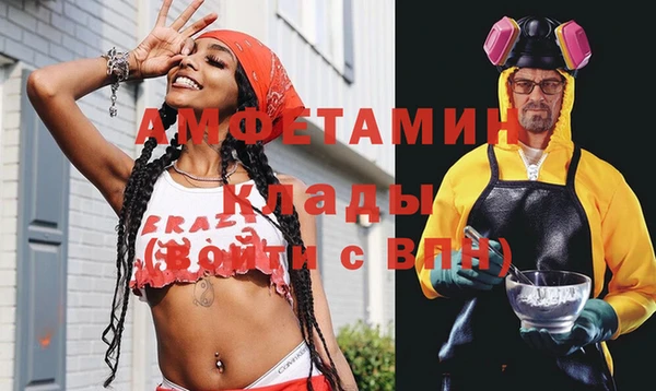 индика Кукмор